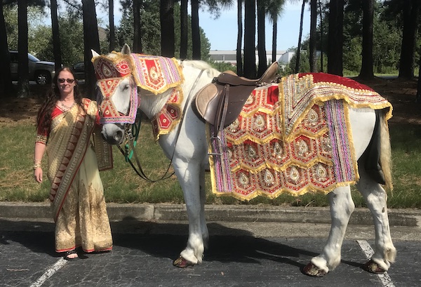 indian wedding ride baraat horse