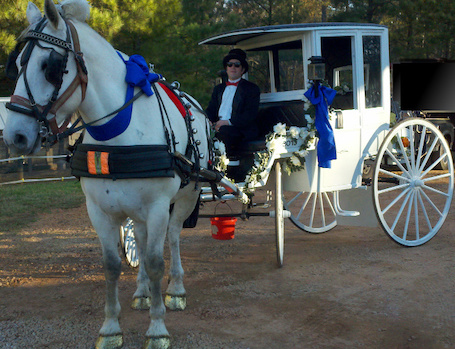 wedding Rockaway horse carriage