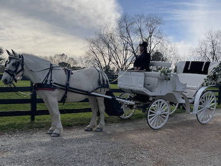 wedding vis-a-vis horse carriage